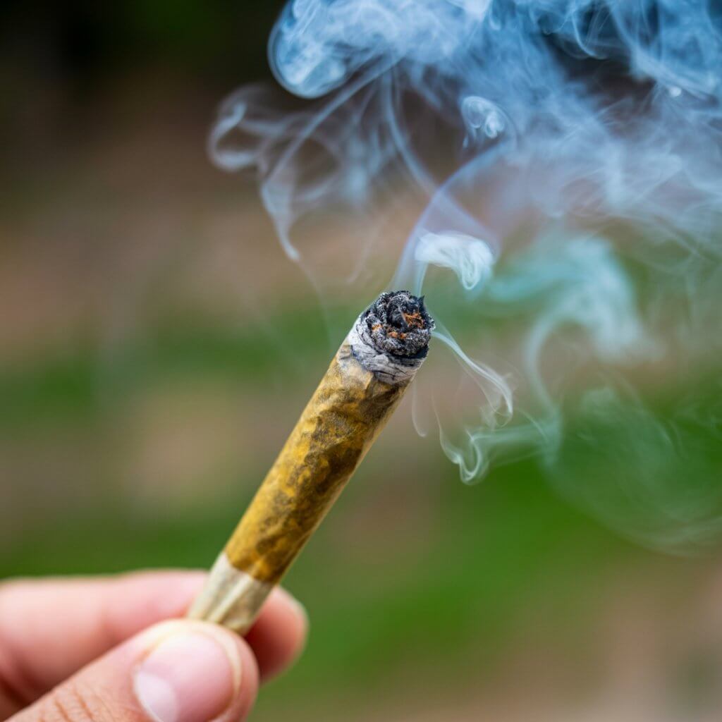 How Long Does Weed Smell Last?