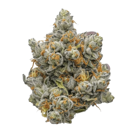 Orange Push Pop Weed Strain