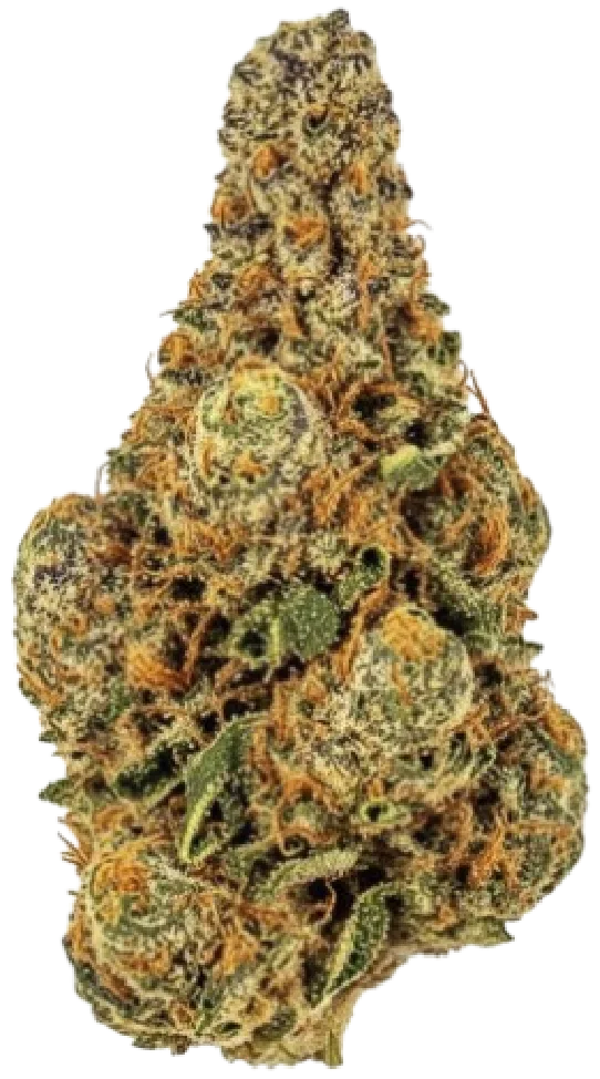 Apple Sherbet Cannabis Strian