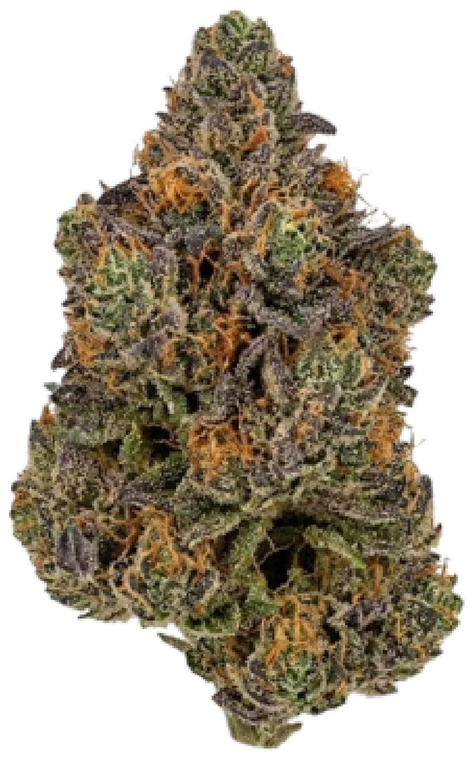 Giraffe P Cannabis Strain