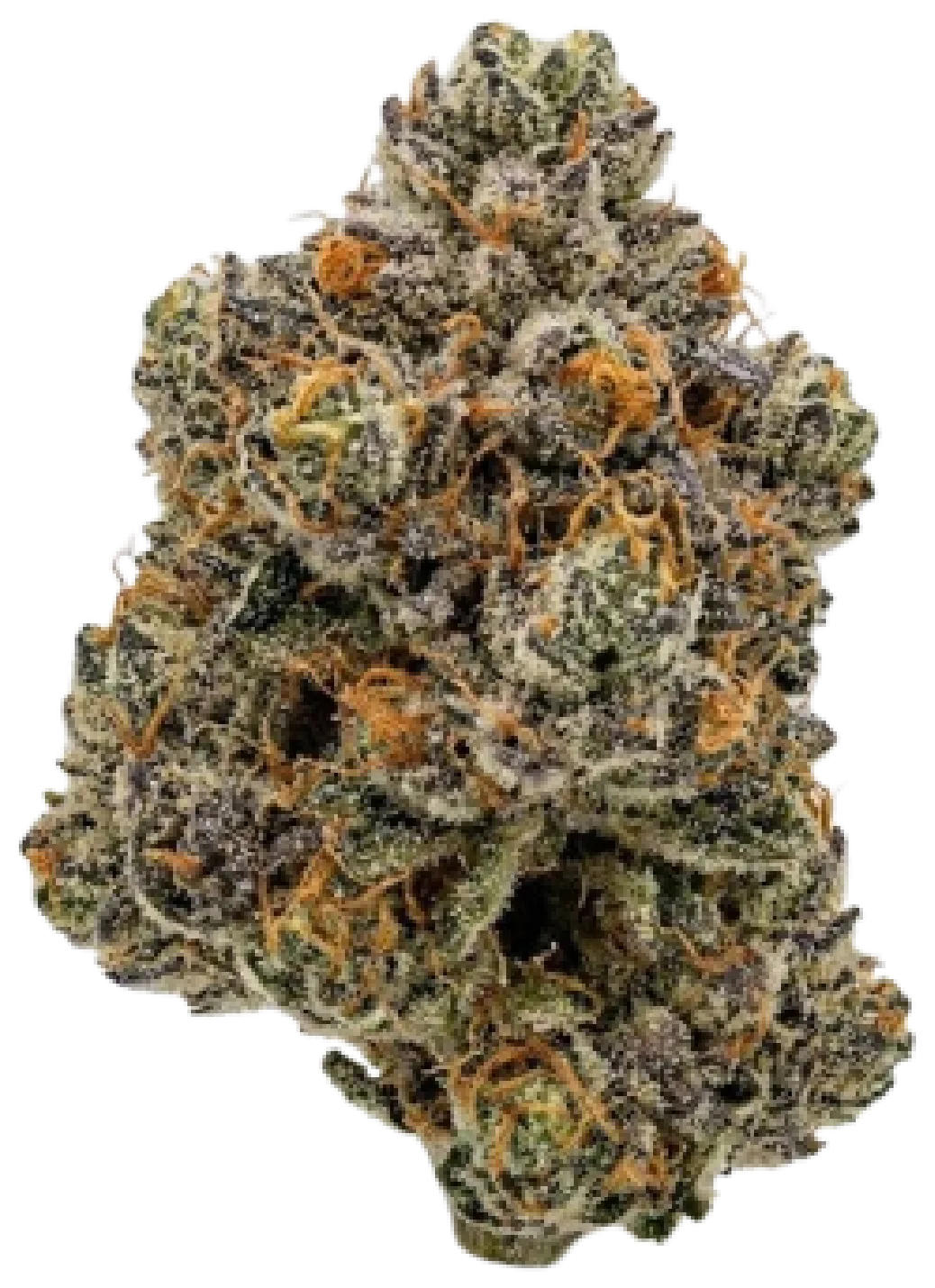 Sour Joker Strain