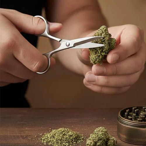 Person Cutting Weed With Scissors with Cannabis Buds on a Table