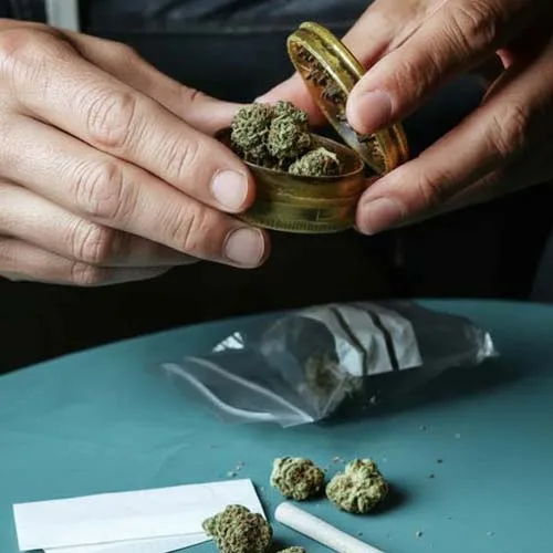 Person Learning How to Grind Weed With A Grinder With a Joint and Cannabis Flower Buds on Table