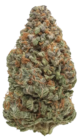 Zoda Cannabis Strain